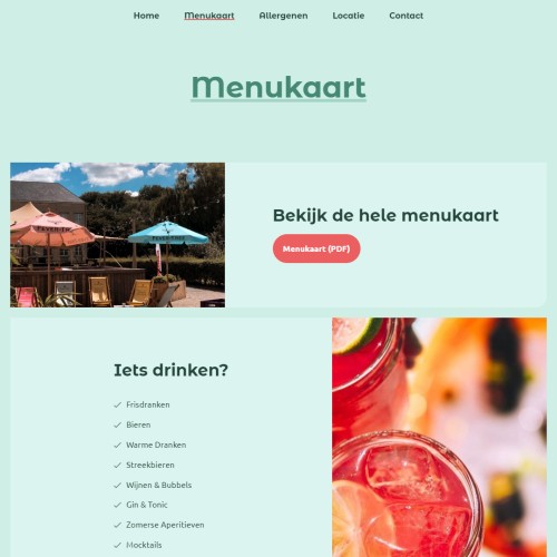 Website laten maken in Beringen