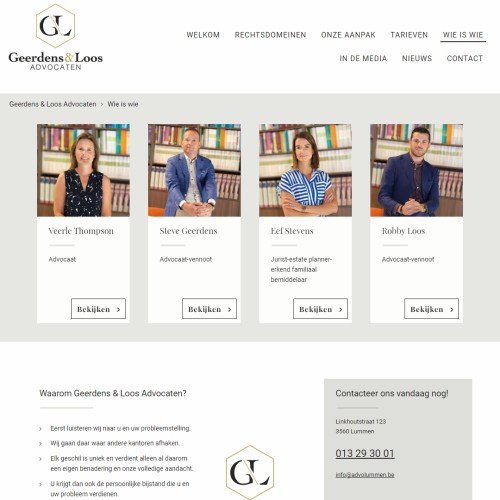 Website laten maken in Buggenhout