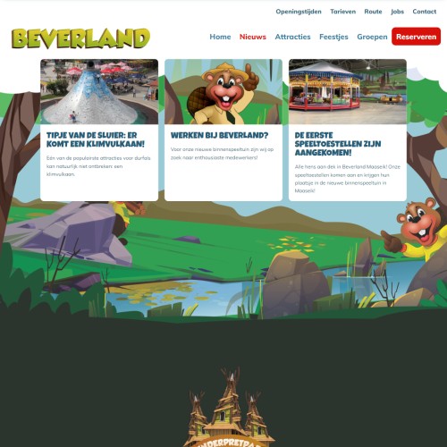 Website laten maken in Evergem